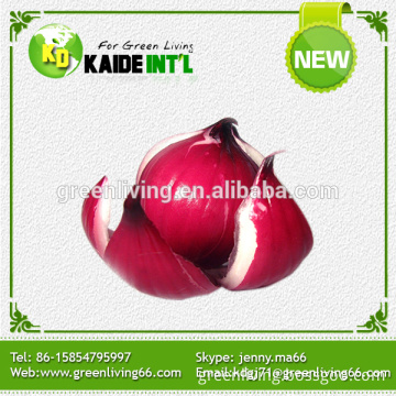 Onion Exporters In China